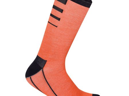 Calze Zerorh Andro 15 - Arancio Online Hot Sale